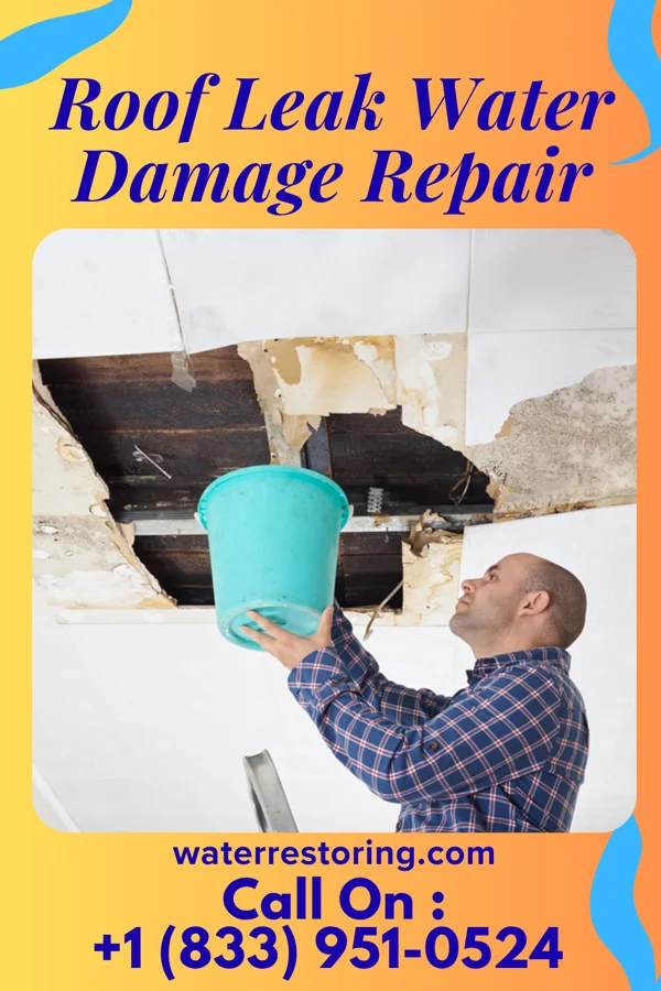 Roof Leak Water Damage Repair in Mohnton, PA