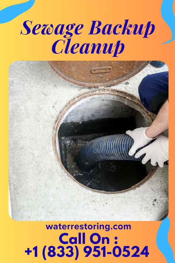 Sewage Backup Cleanup in Mohnton, PA