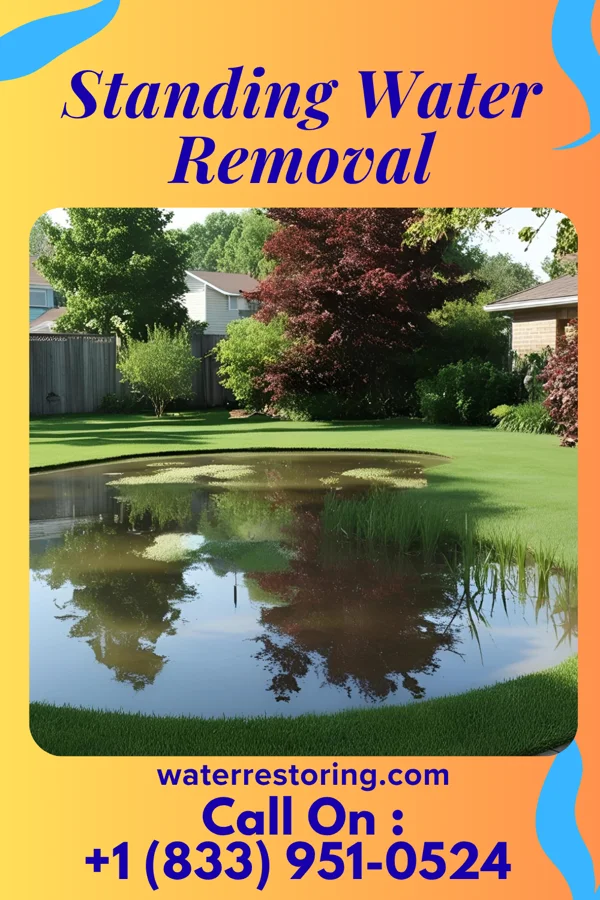 Standing Water Removal in Mohnton, PA